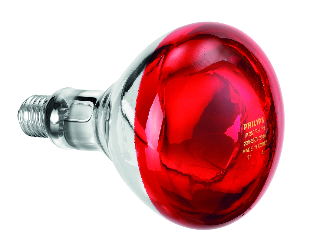 Ampoule infrarouge IWL250D